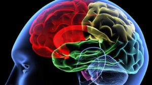 Startup de biotecnología estudiará enfermedades neurológicas