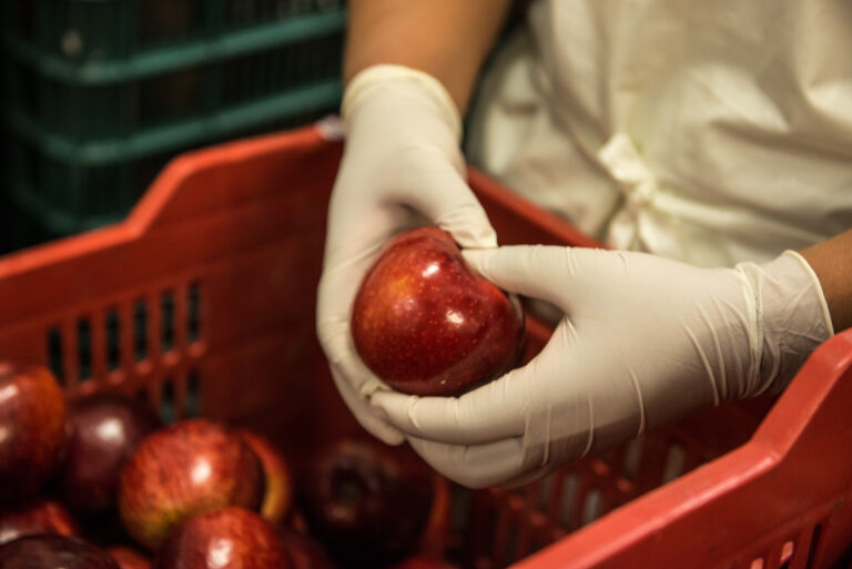 La Cosmopolitana: Limpieza en seco, alternativa para ahorro de agua en industria alimentaria