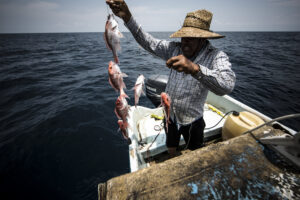 Román Corrons Chávez: Pesca veracruzana genera 2,686 mdp