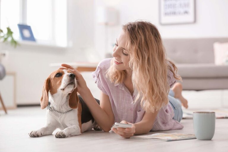 Cuidado de mascotas, el giro preferido de startups