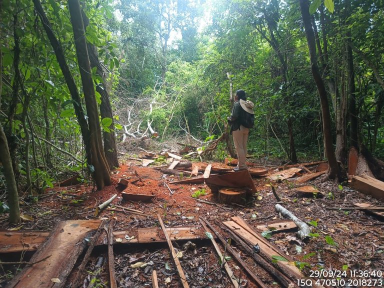 AJEMEX refuerza su compromiso ambiental con los monos aulladores