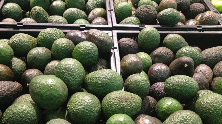 Luis Doporto Alejandre: Aumento de aranceles modifica consumo de aguacate