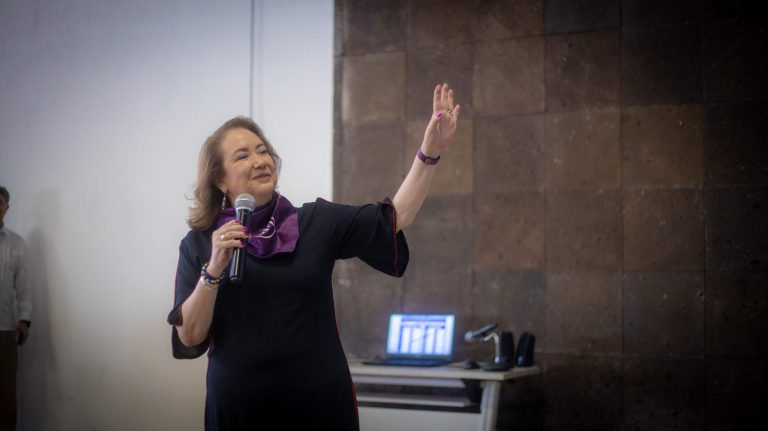 Yasmín Esquivel Mossa en contra de la violencia familiar