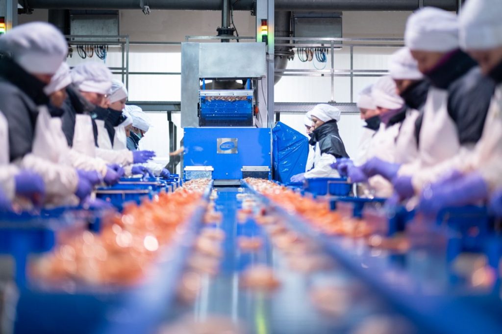 Grupo Kosmos impulsa innovación y transforma la industria alimentaria