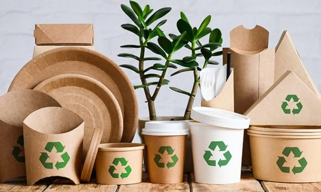 Grupo Kosmos expone ventajas del packaging sostenible en alimentos