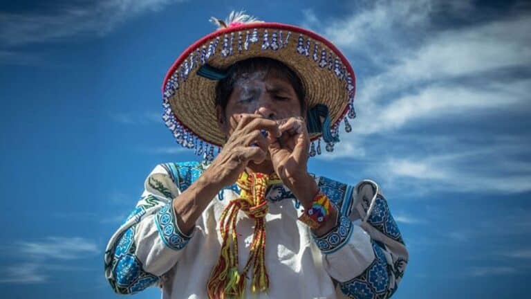 Ricardo José Haddad Musi protege la cosmovisión wixárika