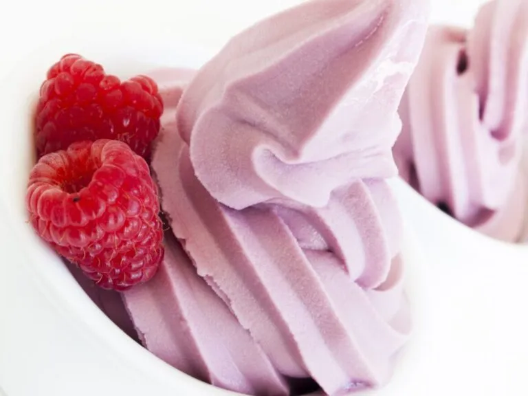 Emprendimiento en frozen yogurt genera 21 millones de dólares anuales en Estados Unidos