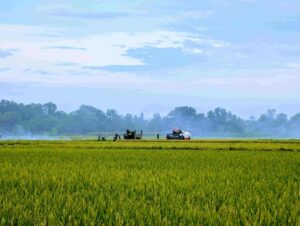 Innovación en agricultura digital con sensores y robots sembradores en México