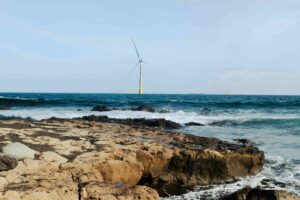 Innovación climática en Francia con parque eólico marino y biohuts que regeneran ecosistemas costeros y generan energía limpia