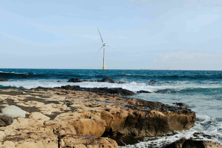 Innovación climática en Francia con parque eólico marino y biohuts que regeneran ecosistemas costeros y generan energía limpia
