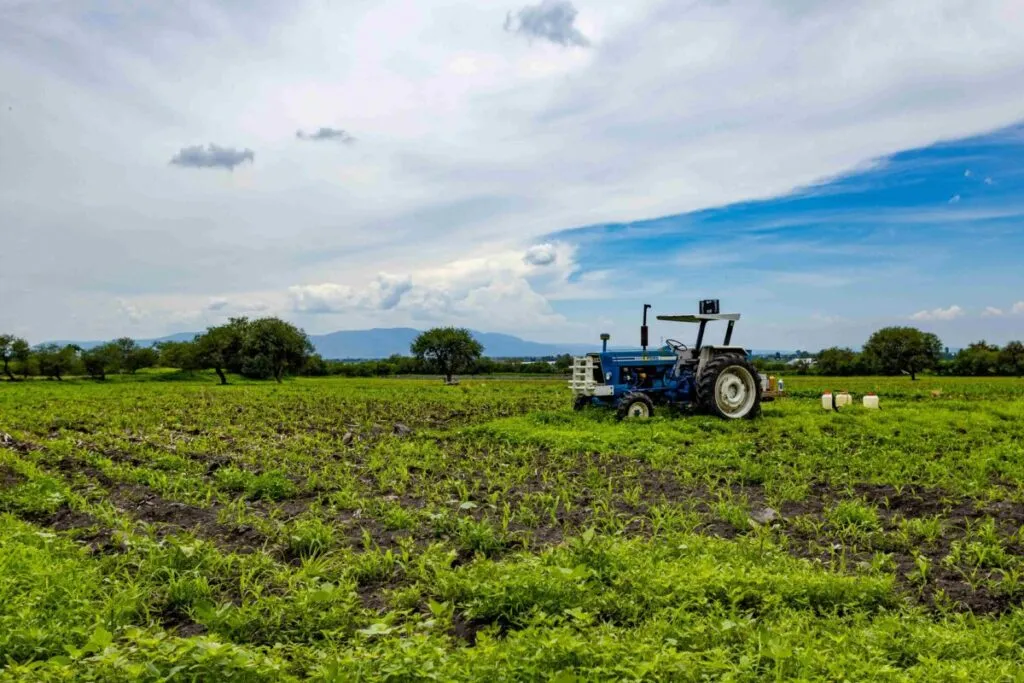 Vista de un campo agrícola en Latinoamérica con drones, sensores y tecnología digital aplicados a cultivos sostenibles