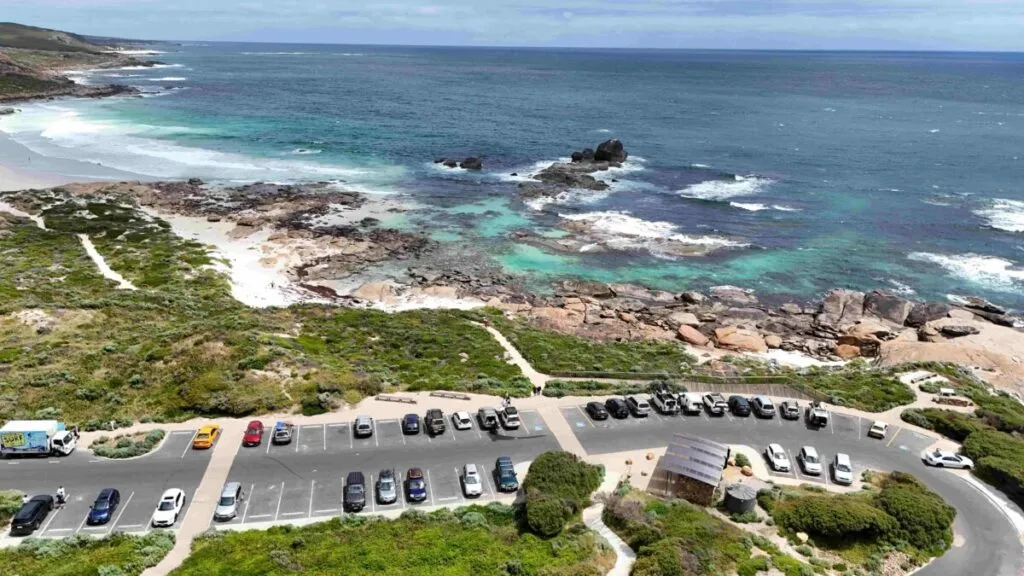 Vista panorámica de ecosistemas costeros chilenos con turistas responsables y fauna marina en armonía