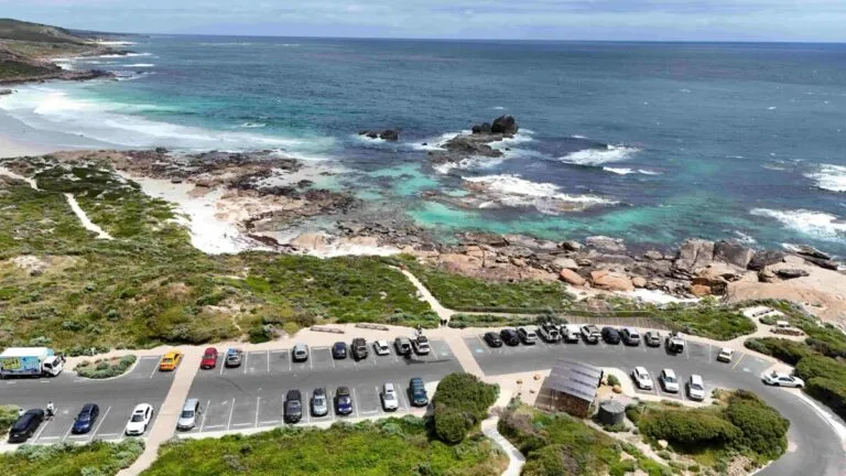 Vista panorámica de ecosistemas costeros chilenos con turistas responsables y fauna marina en armonía