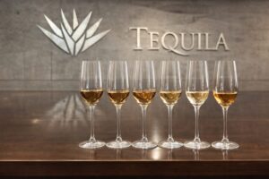 Degustación profesional de tequila en Jalisco con copas alineadas frente al logotipo Tequila, simbolizando inversión industrial moderna