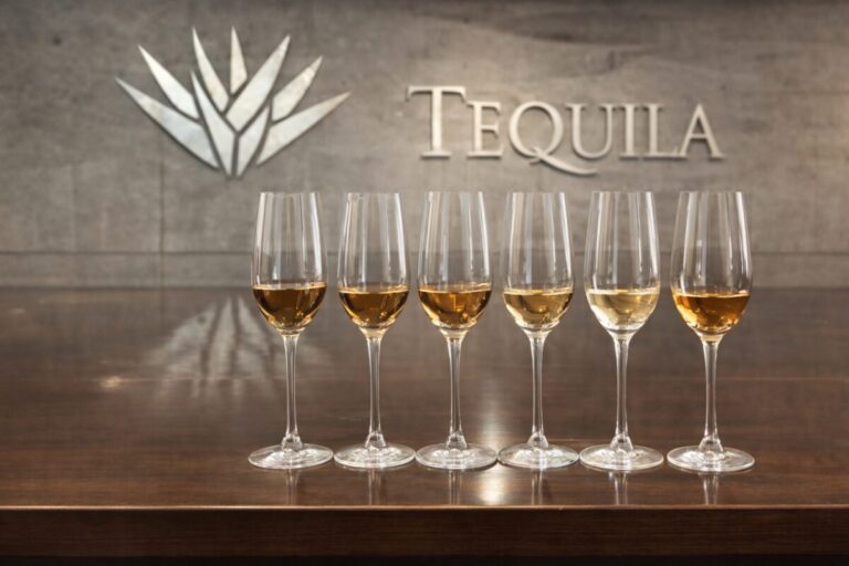 Degustación profesional de tequila en Jalisco con copas alineadas frente al logotipo Tequila, simbolizando inversión industrial moderna