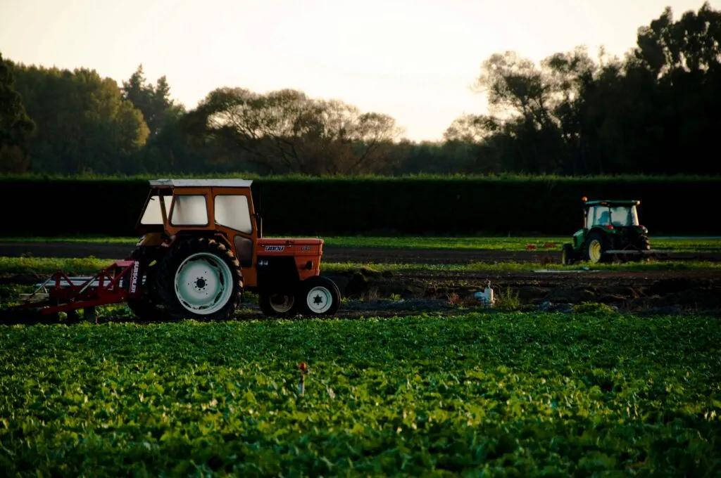Granja mexicana moderna con cajas de tomate vacías, reflejando la baja en exportaciones agropecuarias según cifras del INEGI