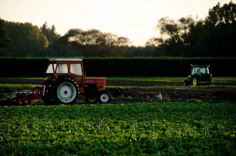 Granja mexicana moderna con cajas de tomate vacías, reflejando la baja en exportaciones agropecuarias según cifras del INEGI