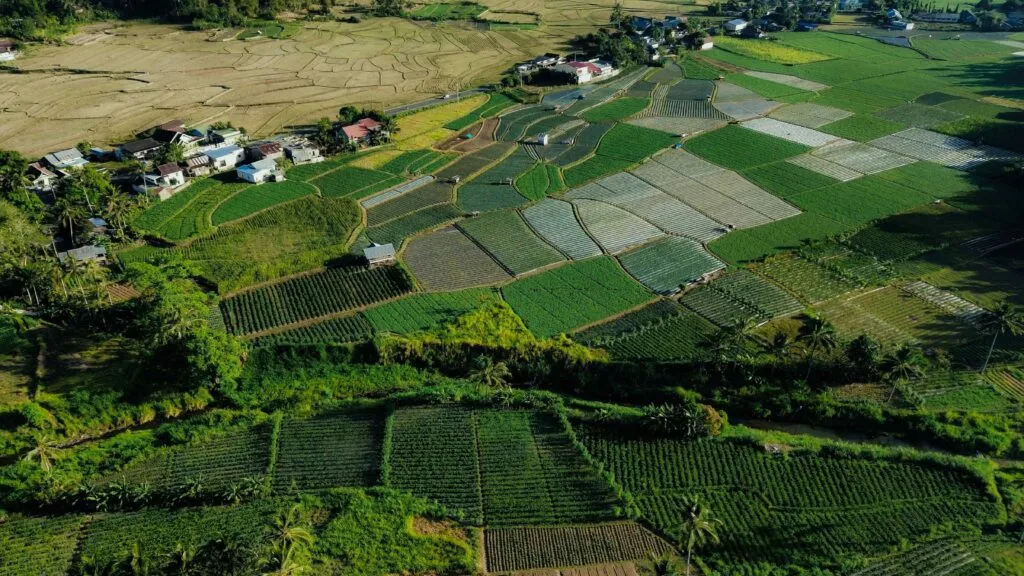 Finca agroecológica Gromecon con cultivos diversos y formación ambiental en Castilla y León