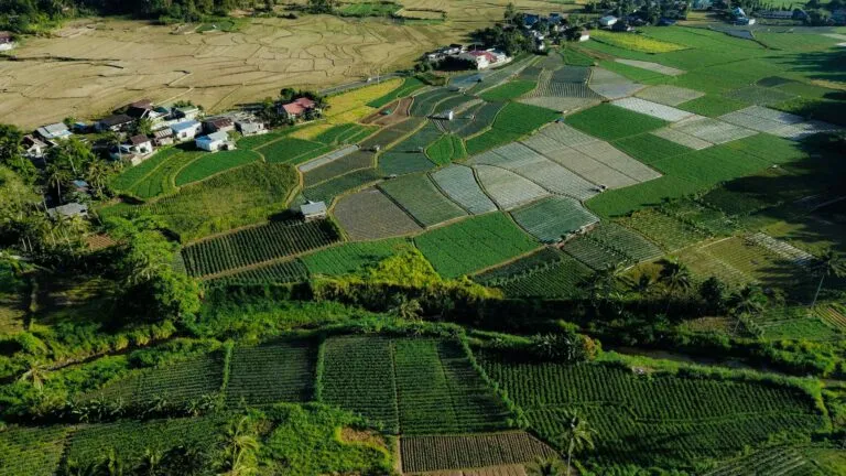 Finca agroecológica Gromecon con cultivos diversos y formación ambiental en Castilla y León