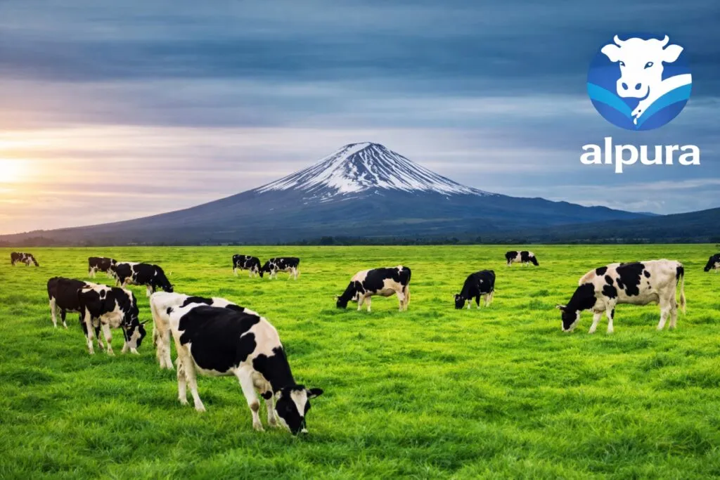 Vacas pastando en un campo verde con volcán al fondo y logo de Alpura, ejemplo visual de sostenibilidad y tecnología verde