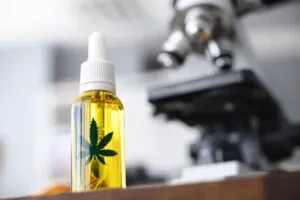 Autoridades de Saltillo revisan normativas para negocios con marihuana y derivados en zonas urbanas