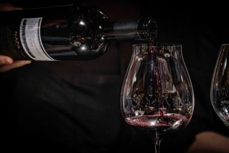 personas disfrutando vino en bares porteños con app vino tech en smartphone