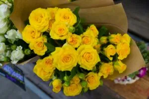 Flores amarillas en México asociadas a tendencia viral del 21 de marzo y cultura digital en primavera