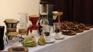 Turismo gastronómico en chocolatería Quintana Roo con cacao local y experiencia artesanal en México