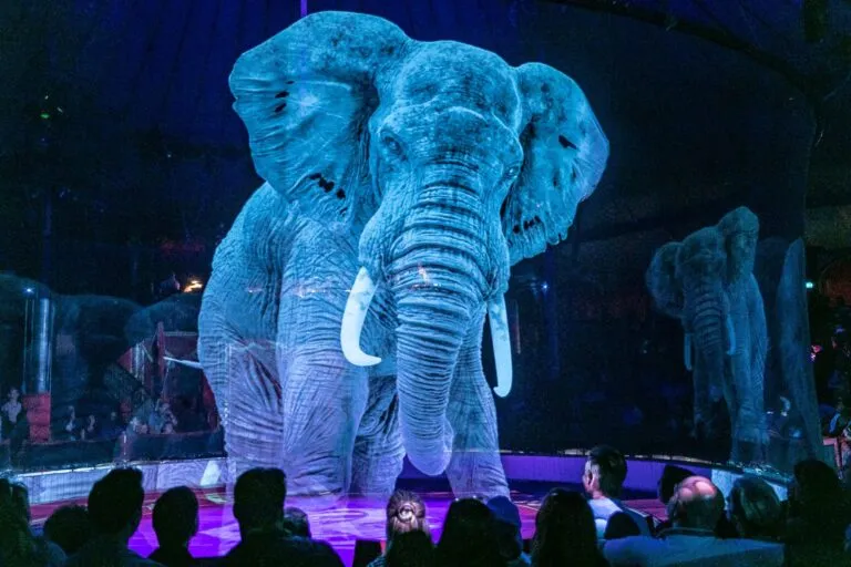 Circos modernos reemplazan animales con tecnología, acrobacias y espectáculos visuales inmersivos para nuevas audiencias