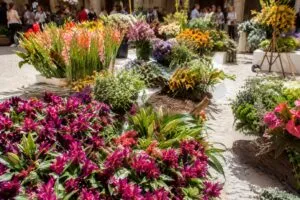 Certamen de artesanía floral llena Salamanca con exhibiciones abiertas y creaciones florales en espacios históricos.