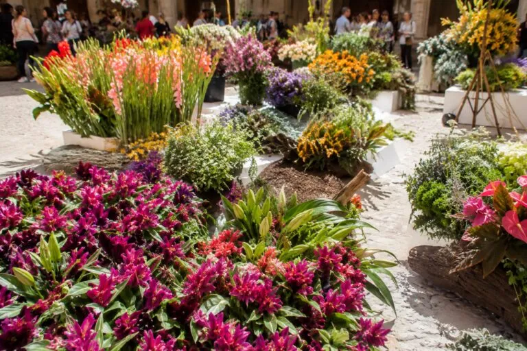 Certamen de artesanía floral llena Salamanca con exhibiciones abiertas y creaciones florales en espacios históricos.
