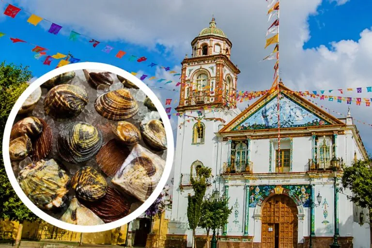 Mercado de pescados y mariscos cerca de CDMX con productos frescos y visitantes recorriendo sus pasillos