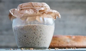 Pan artesanal elaborado con masa madre mostrando una corteza crujiente y fermentación natural.