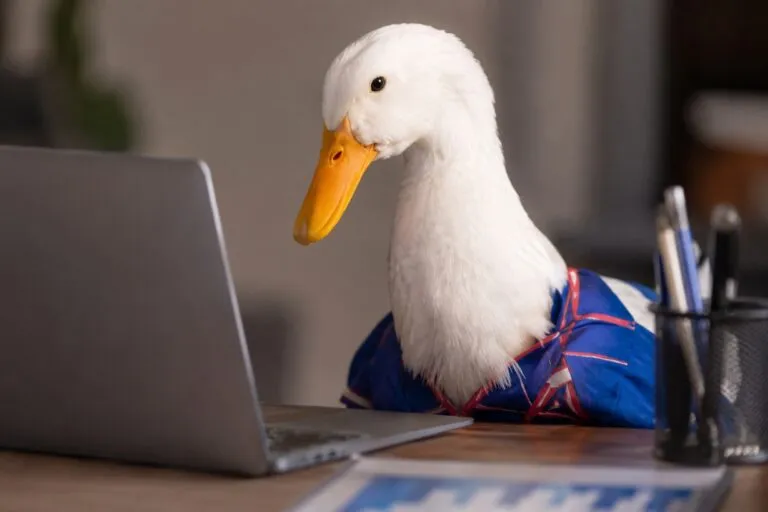 Pato Merlín convertido en símbolo viral del Mundial 2026 y la cultura popular mexicana