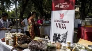 Alimentos Hechos en México disponibles en AICM y AIFA para impulsar productores nacionales y ampliar su alcance comercial.