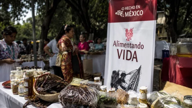 Alimentos Hechos en México disponibles en AICM y AIFA para impulsar productores nacionales y ampliar su alcance comercial.