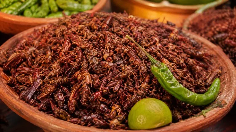 Comida mexicana con chapulines, nopales y frutas con chile que sorprende a turistas en México