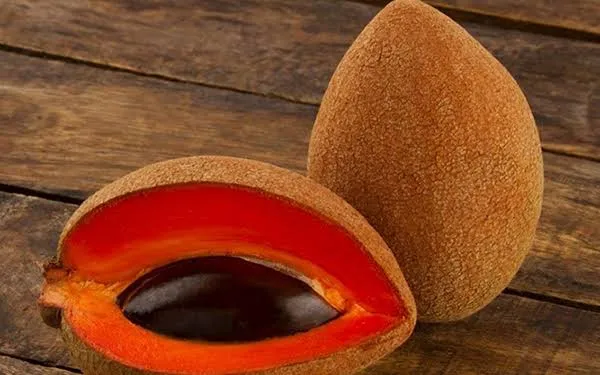 Mamey fresco utilizado en alimentos, bebidas y productos naturales con creciente demanda internacional.
