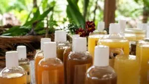 Mujeres mayas producen productos ecológicos con plantas medicinales en Quintana Roo para fortalecer la economía comunitaria.