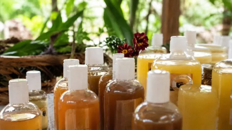 Mujeres mayas producen productos ecológicos con plantas medicinales en Quintana Roo para fortalecer la economía comunitaria.