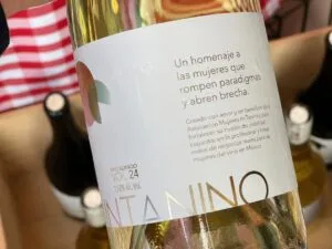 Mujeres in Taninos presentó un vino colaborativo en México para impulsar liderazgo femenino y capacitación profesional en el sector