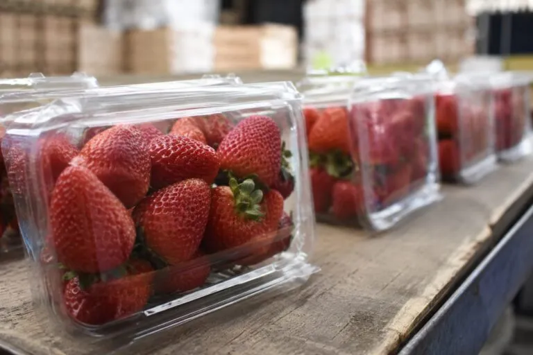 Productos michoacanos preparados para exportación con beneficios comerciales del T-MEC y acceso al mercado estadounidense.