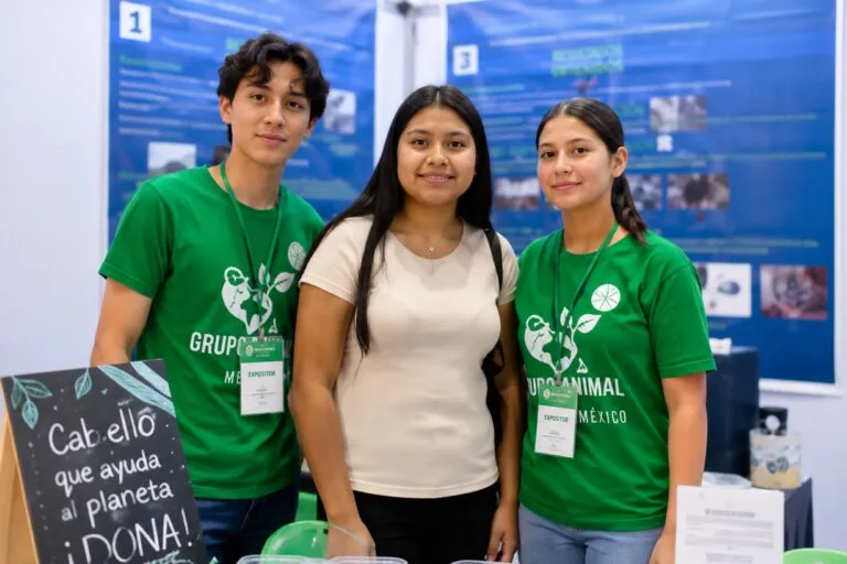 Voluntarios elaboran barreras de cabello humano para limpiar el mar y reducir la contaminación por hidrocarburos.