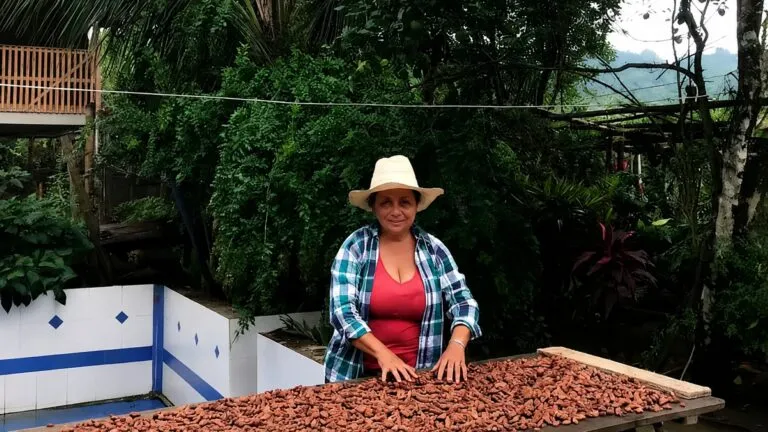 Cacao de Portoviejo impulsa chocolate artesanal, turismo y nuevas oportunidades para una productora de Manabí
