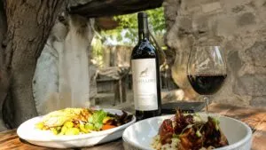 Puerta del Lobo reúne vino, gastronomía y naturaleza entre viñedos de Querétaro