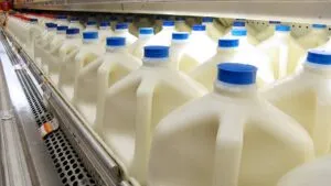 Industria láctea aumenta la proteína de la leche ante nuevas tendencias de consumo