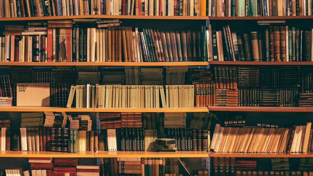 Libros juveniles representan la época de sagas como Crepúsculo, Los juegos del hambre, Divergente y Maze Runner.