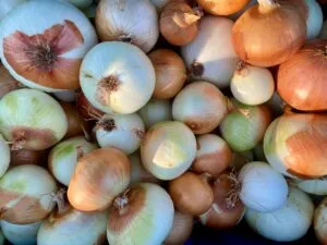 Precio de la cebolla en México presiona costos de hogares y pequeños negocios de alimentos