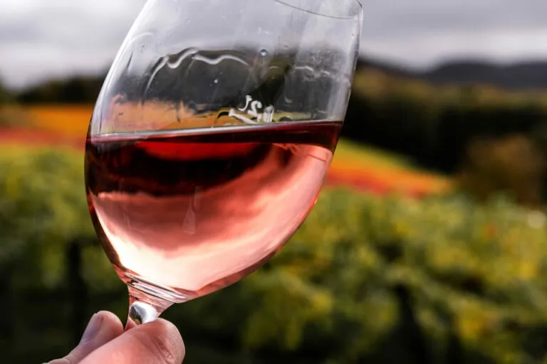 Feria de la Vendimia de Moraleja del Vino con mercadillo y tradición local