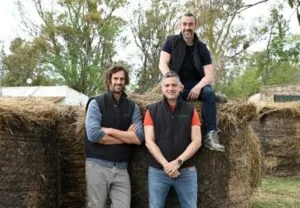 Ganado bovino en un campo que representa el uso de análisis genéticos de Bulltrack para mejorar la selección y reproducción de animales.